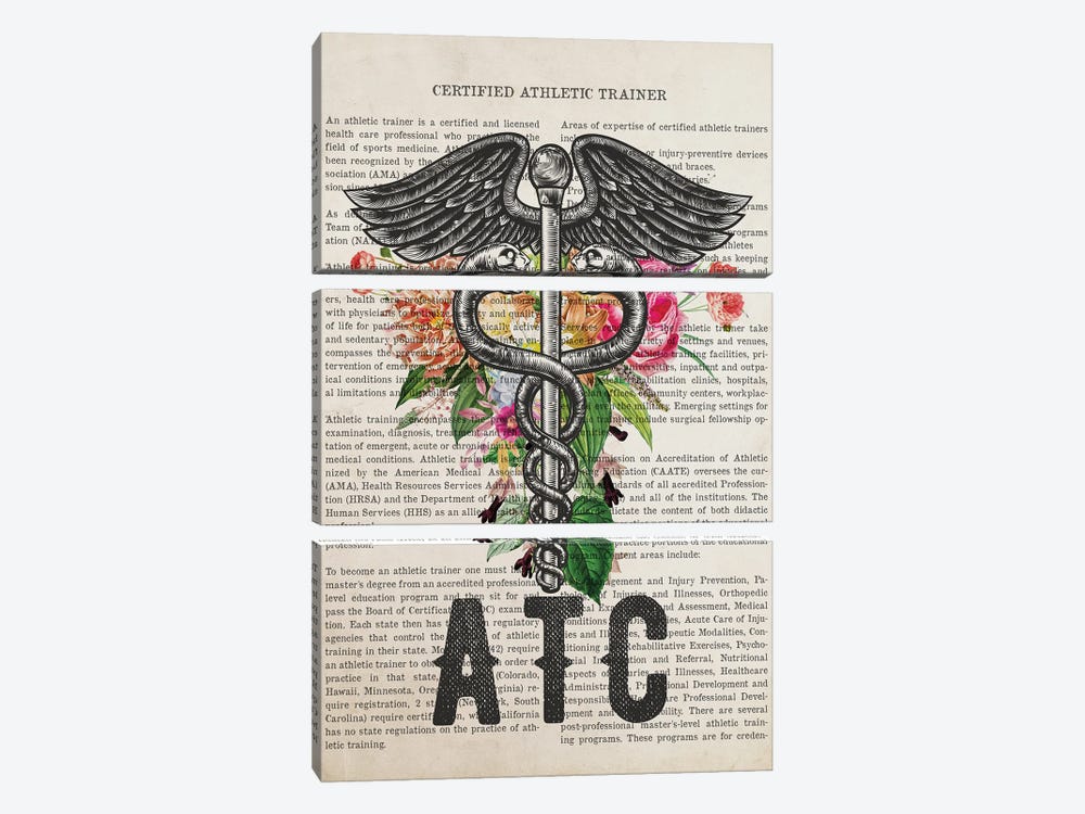 ATC, Certified Athletic Trainer With Flowers by Aged Pixel 3-piece Art Print