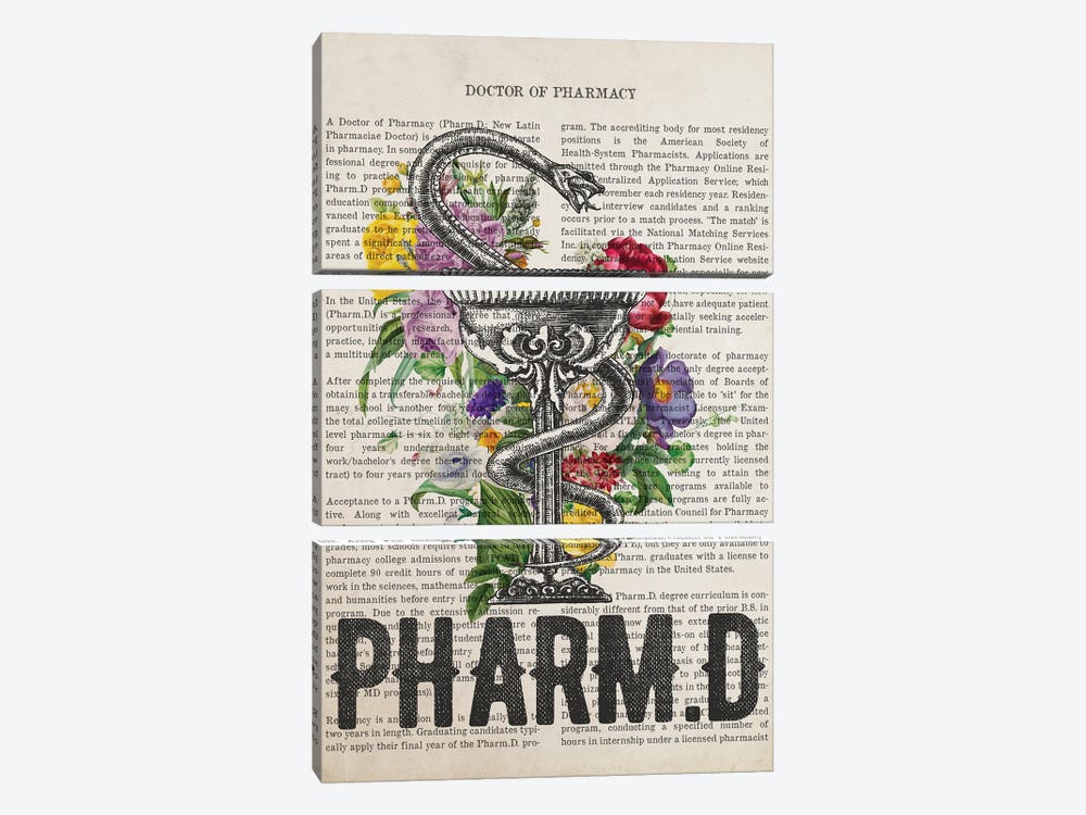 PharmD, Doctor Of Pharmacy With Flowers by Aged Pixel 3-piece Canvas Artwork