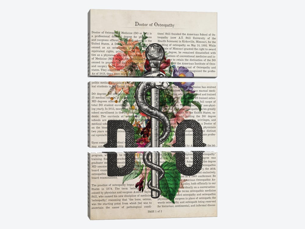 DO, Doctor Of Osteopathy With Flowers by Aged Pixel 3-piece Canvas Print