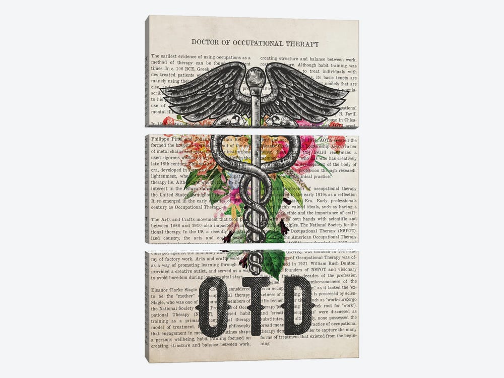 OTD, Doctor Of Occupational Therapy With Flowers by Aged Pixel 3-piece Canvas Artwork