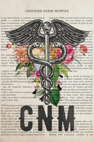CNM, Certified Nurse Midwife With Flowers by Aged Pixel framed canvas print
