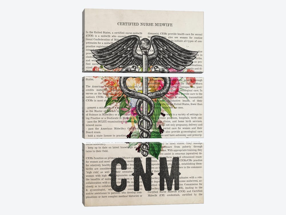 CNM, Certified Nurse Midwife With Flowers by Aged Pixel 3-piece Art Print