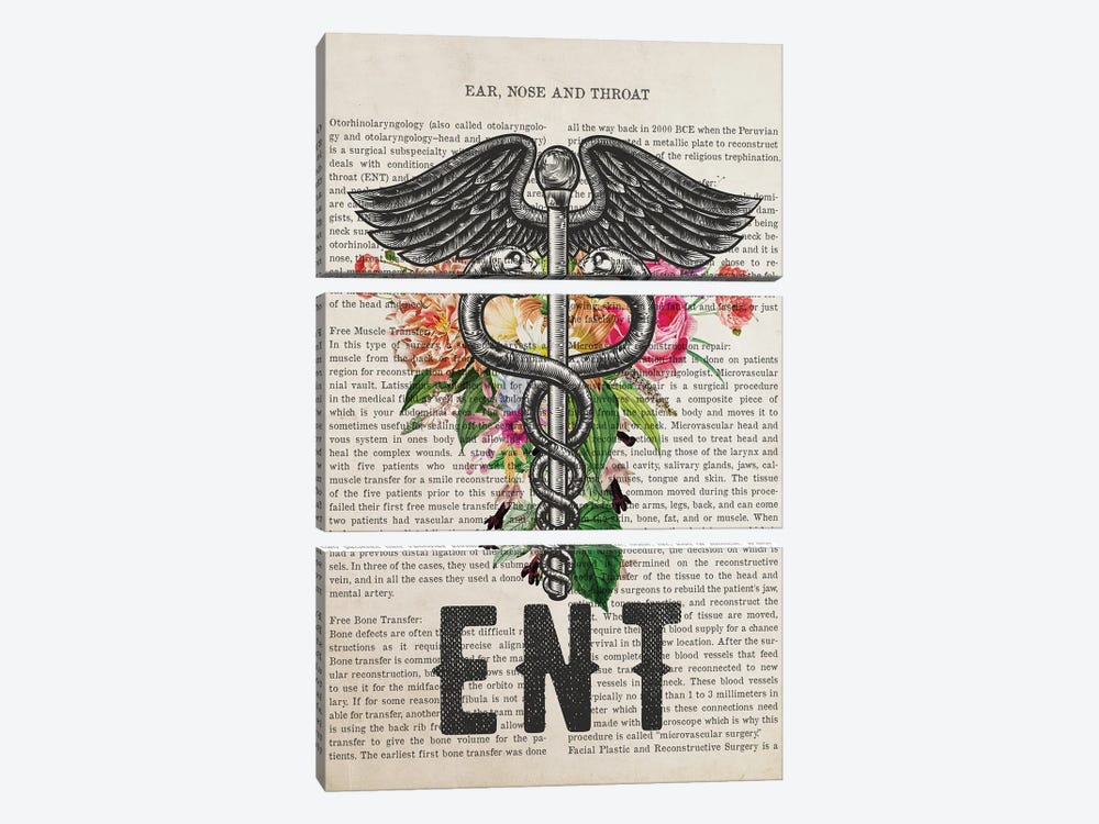 ENT, Ear Nose and Throat Doctor with Flowers Print by Aged Pixel 3-piece Canvas Wall Art
