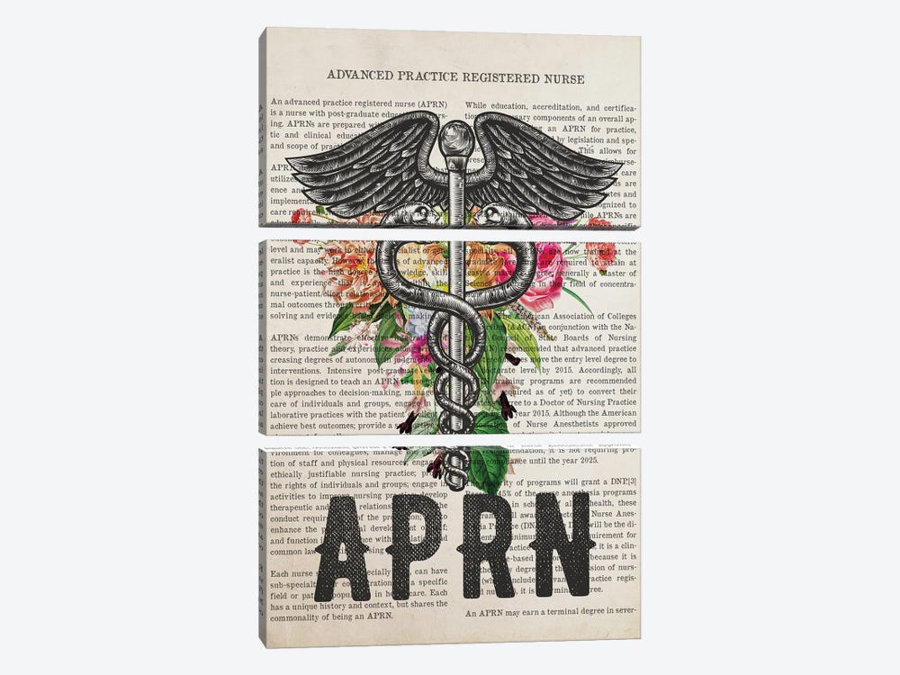 Aprn, Advanced Practice Registered Nurse With Flowers Print by Aged Pixel 3-piece Canvas Art