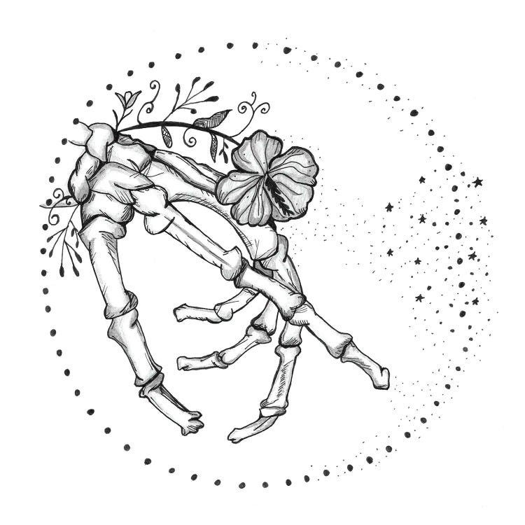 Hand Anatomy Print, Occupational Therapy, Physical Therapist by Aged Pixel wall art