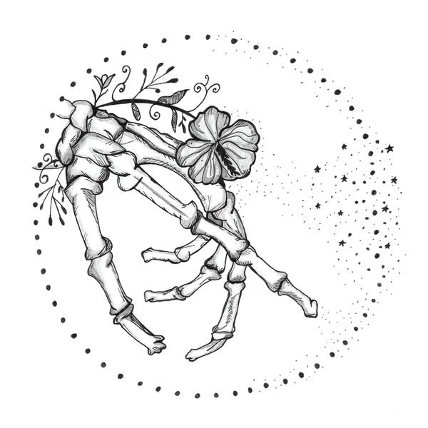 Skeletons: Hand Anatomy Print, Occupational Therapy, Physical Therapist by Aged Pixel