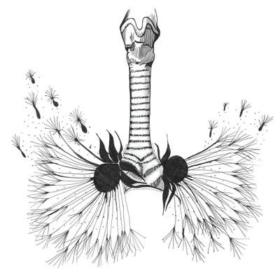 Lungs Anatomy Print, Respiratory Therapy, Pulmonologist by Aged Pixel gallery poster