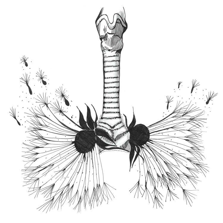 Lungs Anatomy Print, Respiratory Therapy, Pulmonologist by Aged Pixel wall art