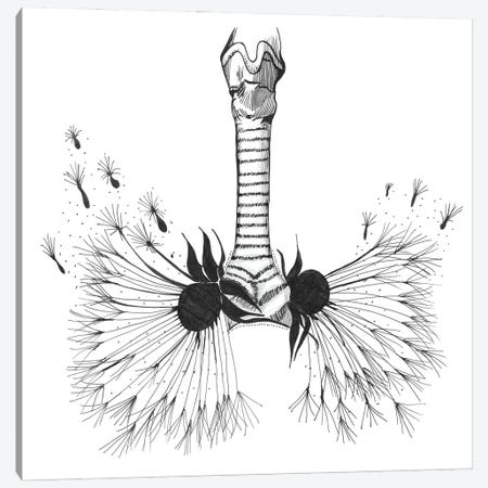 Lungs Anatomy Print, Respiratory Therapy, Pulmonologist Canvas Print #ADP3270} by Aged Pixel Canvas Art