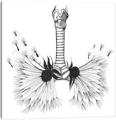 Lungs Anatomy Print, Respiratory Therapy, Pulmonologist Canvas Art Print - Skeleton Art