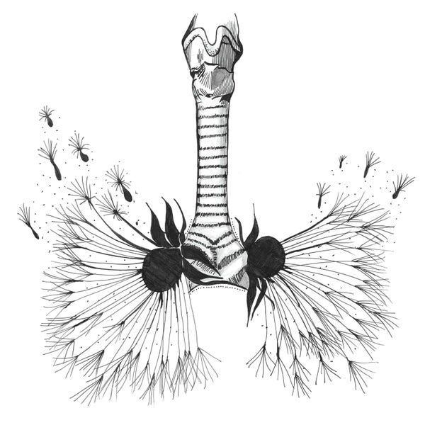 Skeletons: Lungs Anatomy Print, Respiratory Therapy, Pulmonologist by Aged Pixel