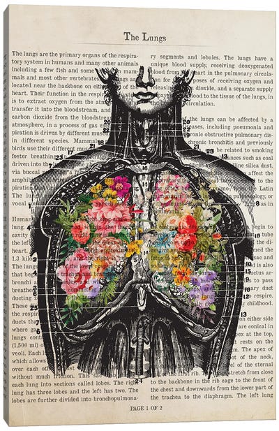 The Lungs Canvas Art Print - Anatomy Art