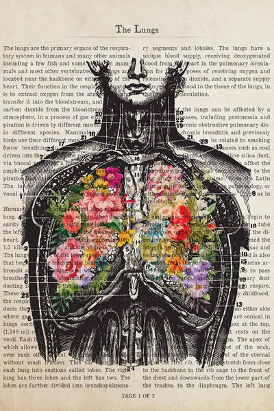 Biology: The Lungs by Aged Pixel