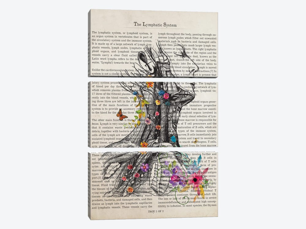 The Lymphatic System by Aged Pixel 3-piece Canvas Print