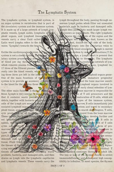 Biology: The Lymphatic System by Aged Pixel