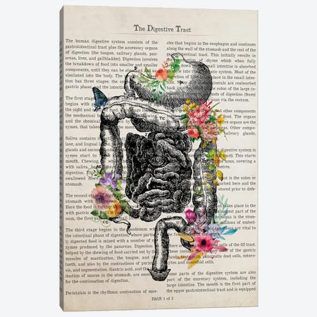 The Digestive Tract Canvas Print #ADP3277} by Aged Pixel Art Print
