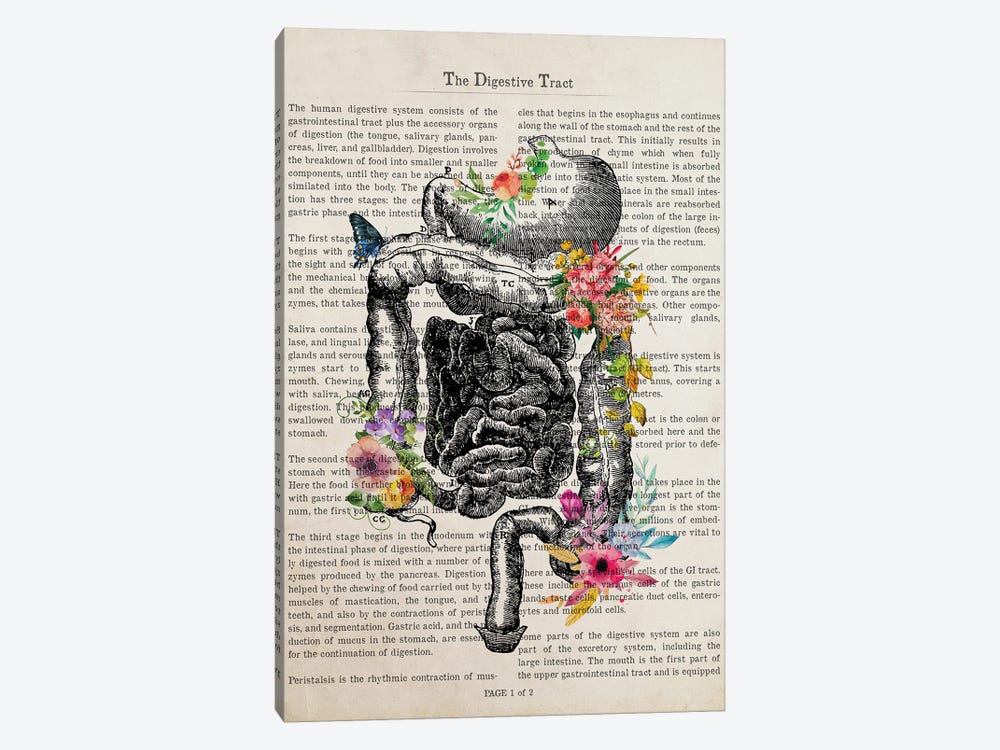 The Digestive Tract by Aged Pixel 1-piece Canvas Print