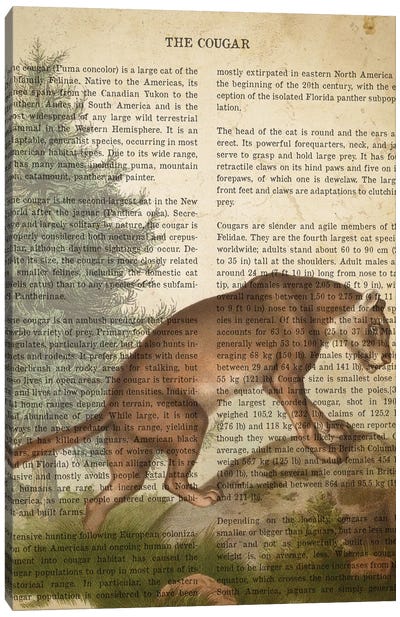 Vintage Cougar Print Canvas Art Print - Cougars