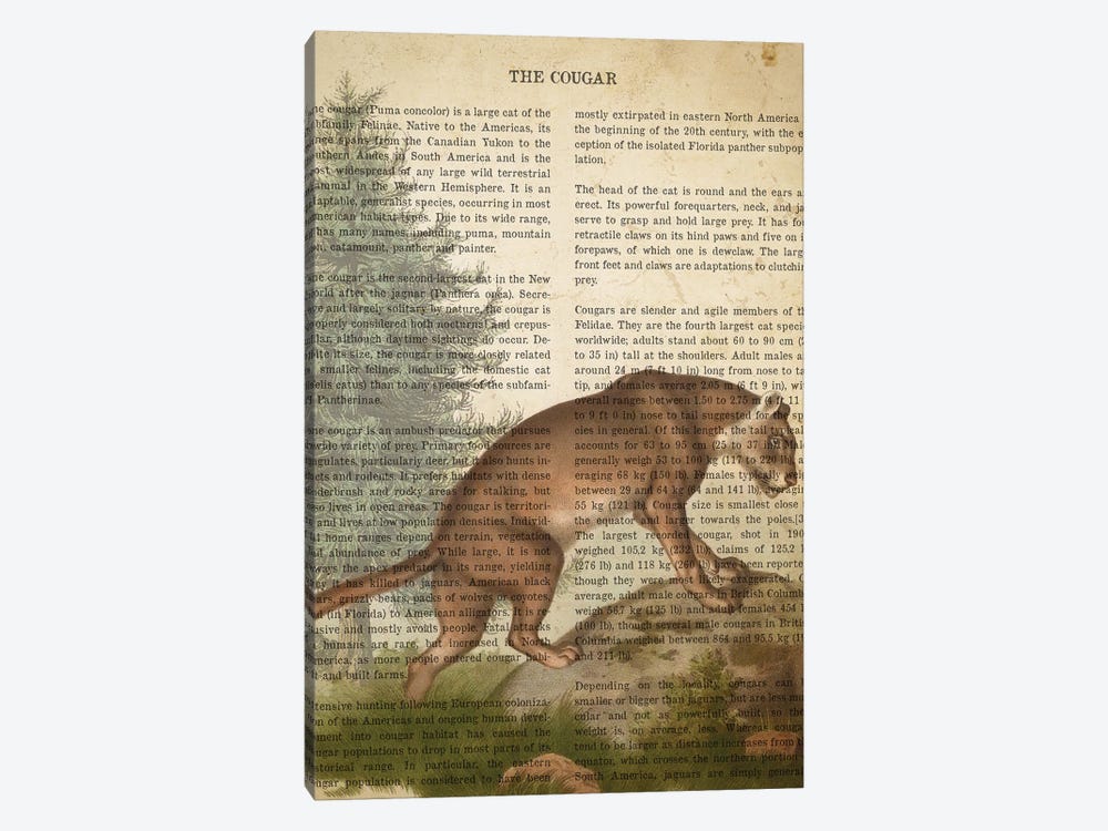 Vintage Cougar Print by Aged Pixel 1-piece Canvas Art Print