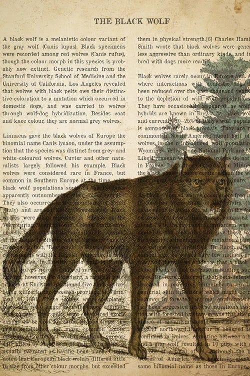 Vintage Black Wolf Print