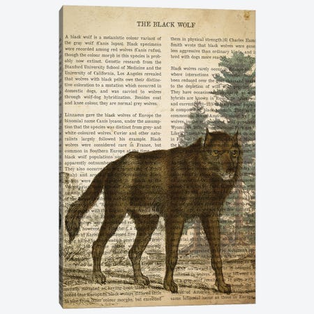 Vintage Black Wolf Print Canvas Print #ADP3281} by Aged Pixel Canvas Print