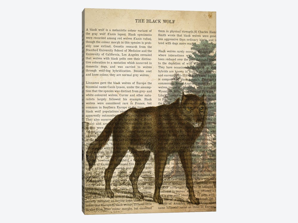Vintage Black Wolf Print by Aged Pixel 1-piece Canvas Artwork