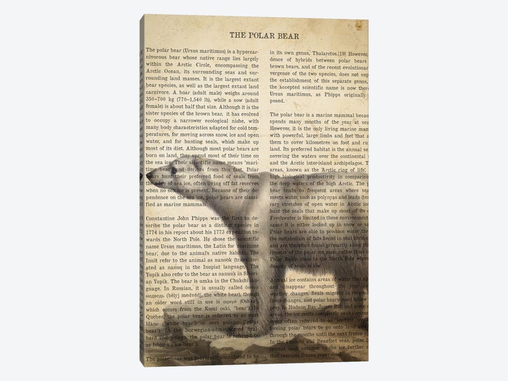 Vintage Polar Bear Print by Aged Pixel 1-piece Art Print