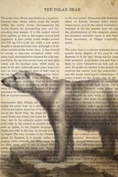 Polar Bears: Vintage Polar Bear Print by Aged Pixel