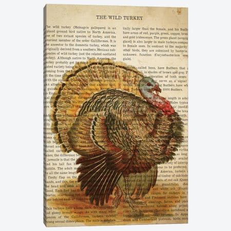Vintage Wild Turkey Print Canvas Print #ADP3283} by Aged Pixel Art Print