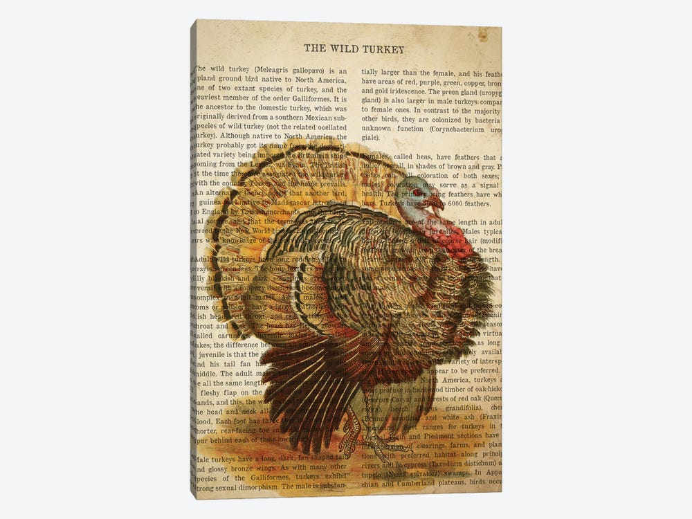 Vintage Wild Turkey Print by Aged Pixel 1-piece Canvas Art