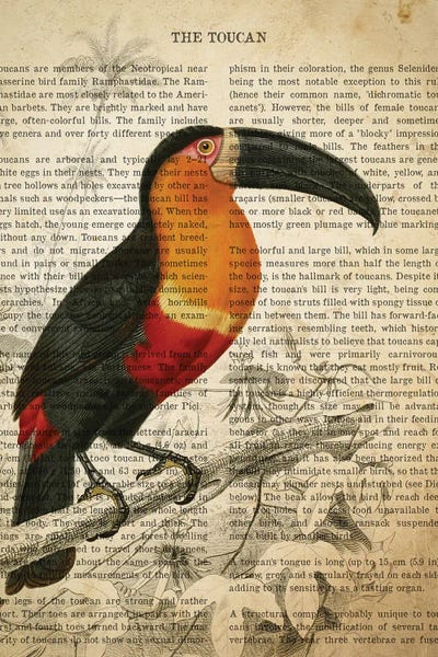 Vintage Toucan Print by Aged Pixel art print