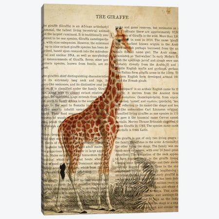 Vintage Giraffe Print Canvas Print #ADP3286} by Aged Pixel Canvas Wall Art