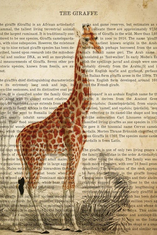 Vintage Giraffe Print