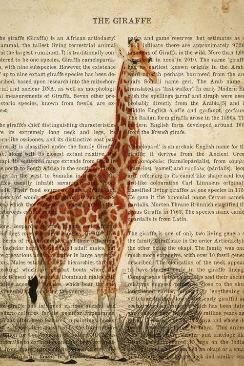 Vintage Giraffe Print by Aged Pixel wall art