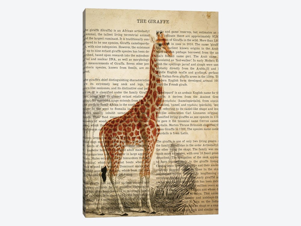 Vintage Giraffe Print by Aged Pixel 1-piece Canvas Print