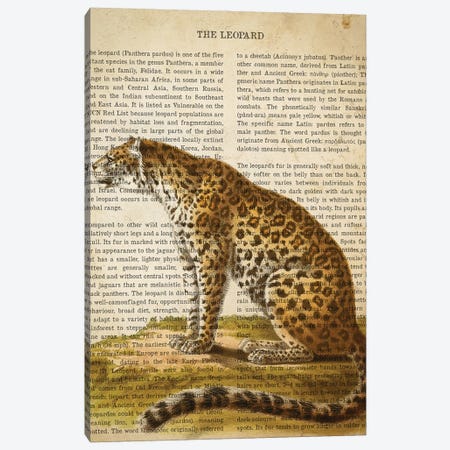 Vintage Leopard Print Canvas Print #ADP3287} by Aged Pixel Canvas Wall Art