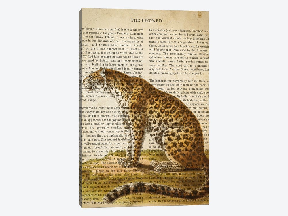 Vintage Leopard Print by Aged Pixel 1-piece Canvas Wall Art
