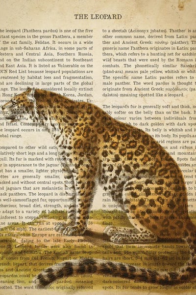 Vintage Animal Illustrations: Vintage Leopard Print by Aged Pixel