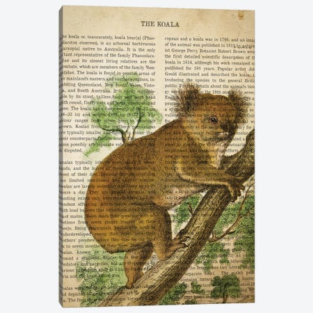 Vintage Koala Print Canvas Print #ADP3288} by Aged Pixel Art Print