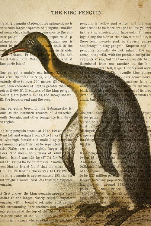 Vintage Penguin Print