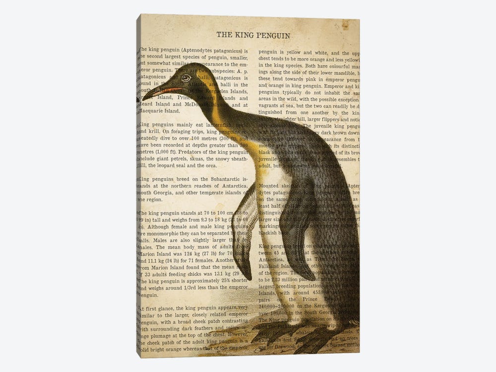 Vintage Penguin Print by Aged Pixel 1-piece Canvas Artwork
