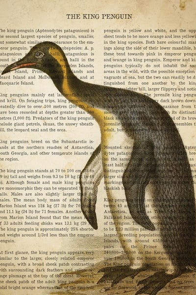 Penguins: Vintage Penguin Print by Aged Pixel