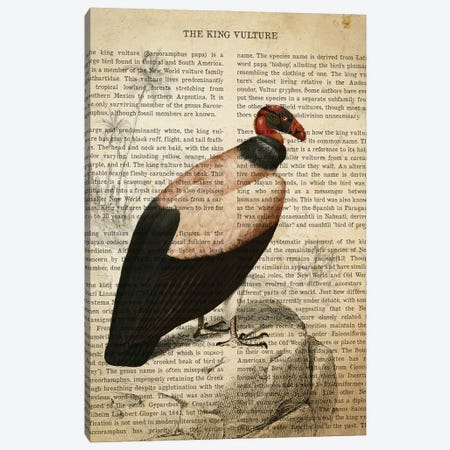 Vintage King Vulture Print Canvas Print #ADP3290} by Aged Pixel Canvas Art