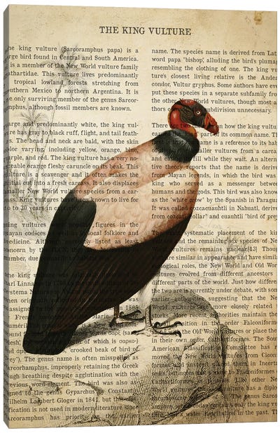 Vintage King Vulture Print Canvas Art Print - Vulture Art