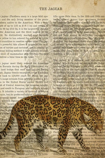 Vintage Jaguar Print by Aged Pixel canvas print