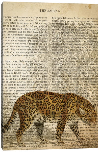 Vintage Jaguar Print Canvas Art Print - Jaguar Art