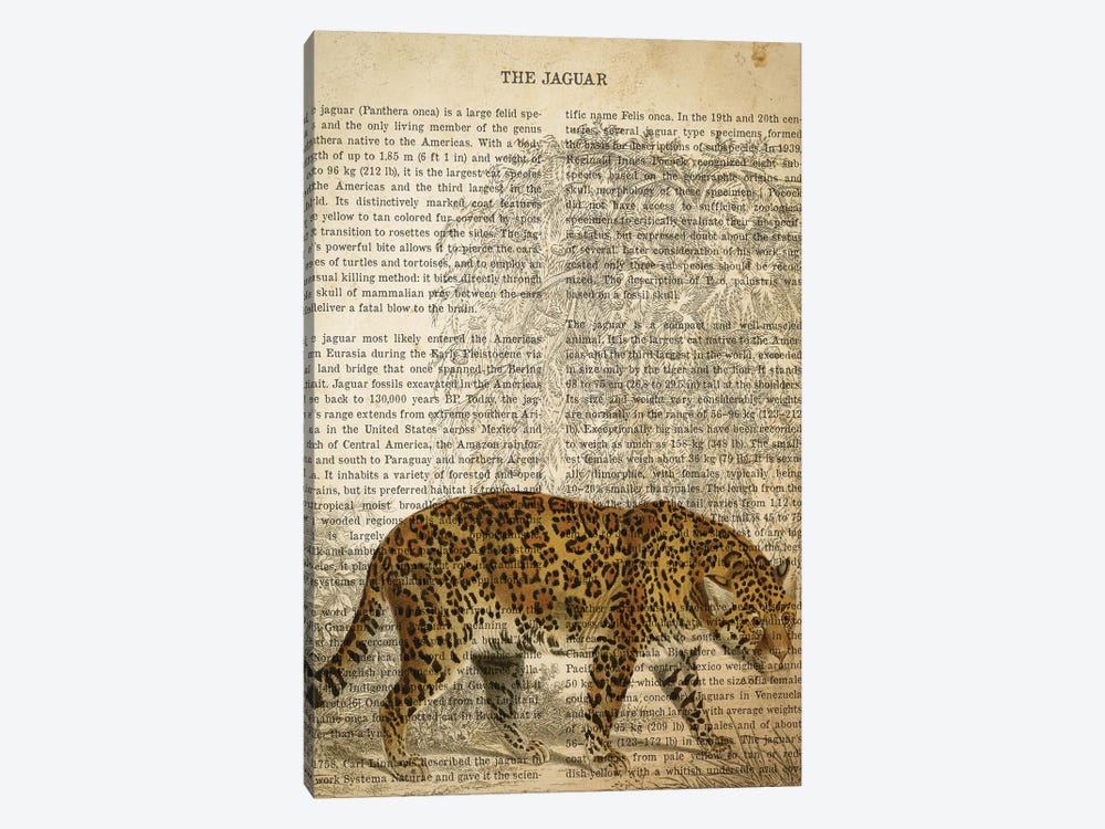 Vintage Jaguar Print by Aged Pixel 1-piece Canvas Print