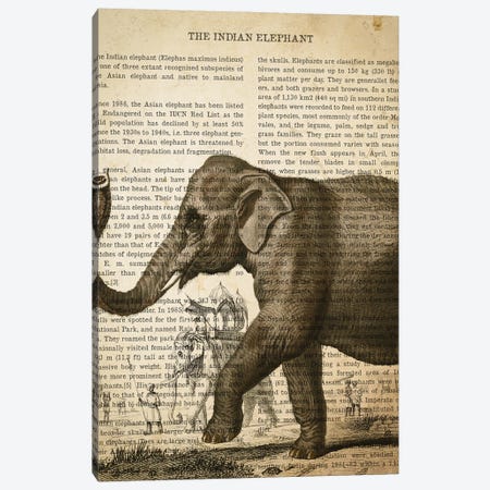 Vintage Elephant Print Canvas Print #ADP3292} by Aged Pixel Canvas Artwork
