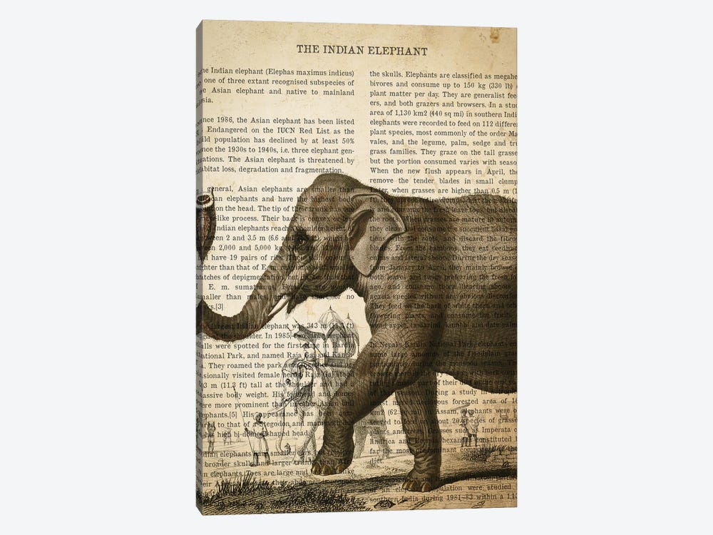 Vintage Elephant Print by Aged Pixel 1-piece Canvas Art