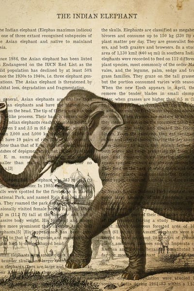 Vintage Animal Illustrations: Vintage Elephant Print by Aged Pixel